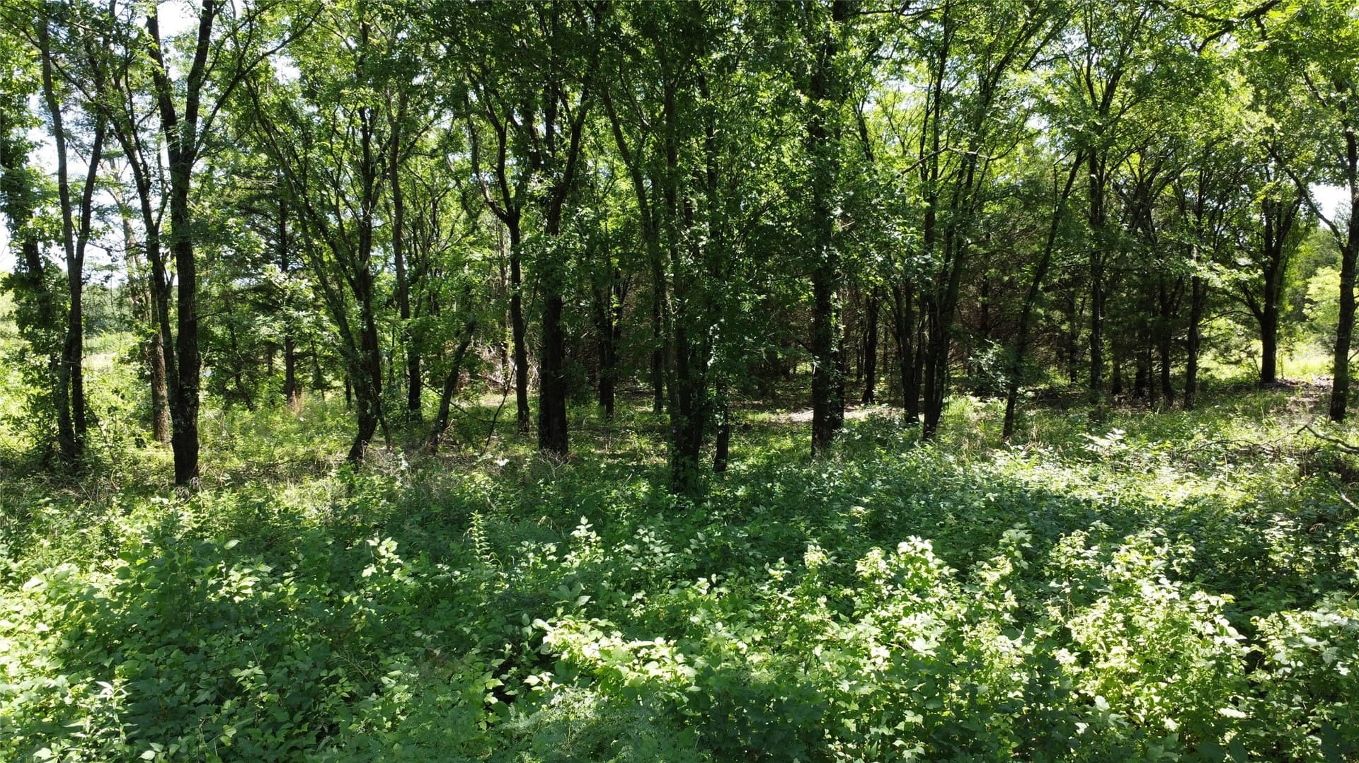 39.23 acres in Grayson County - photo 20