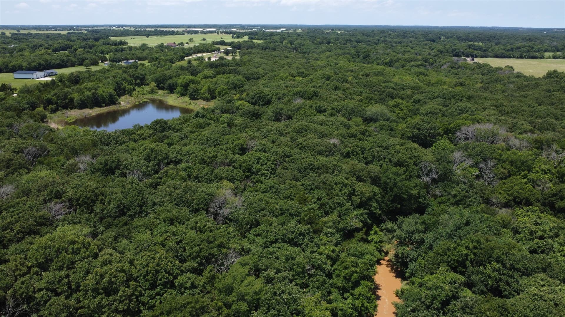39.23 acres in Grayson County - photo 5
