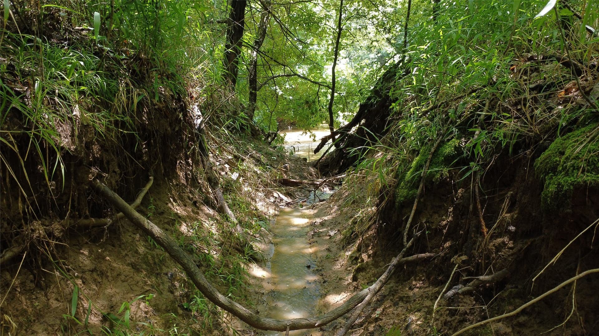 39.23 acres in Grayson County - photo 24