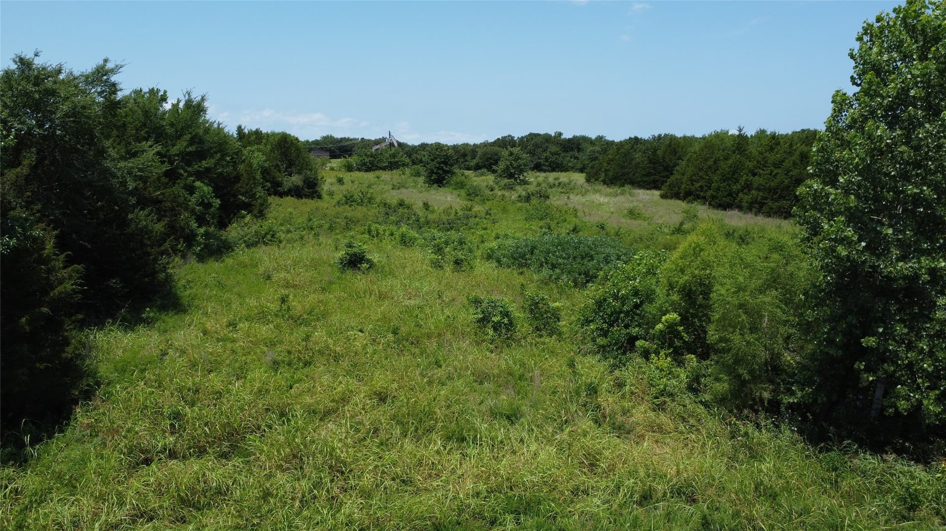39.23 acres in Grayson County - photo 10