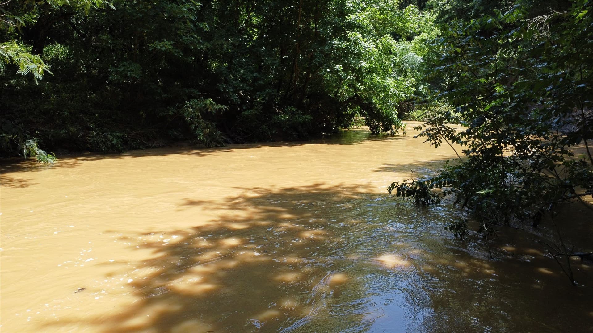 39.23 acres in Grayson County - photo 3