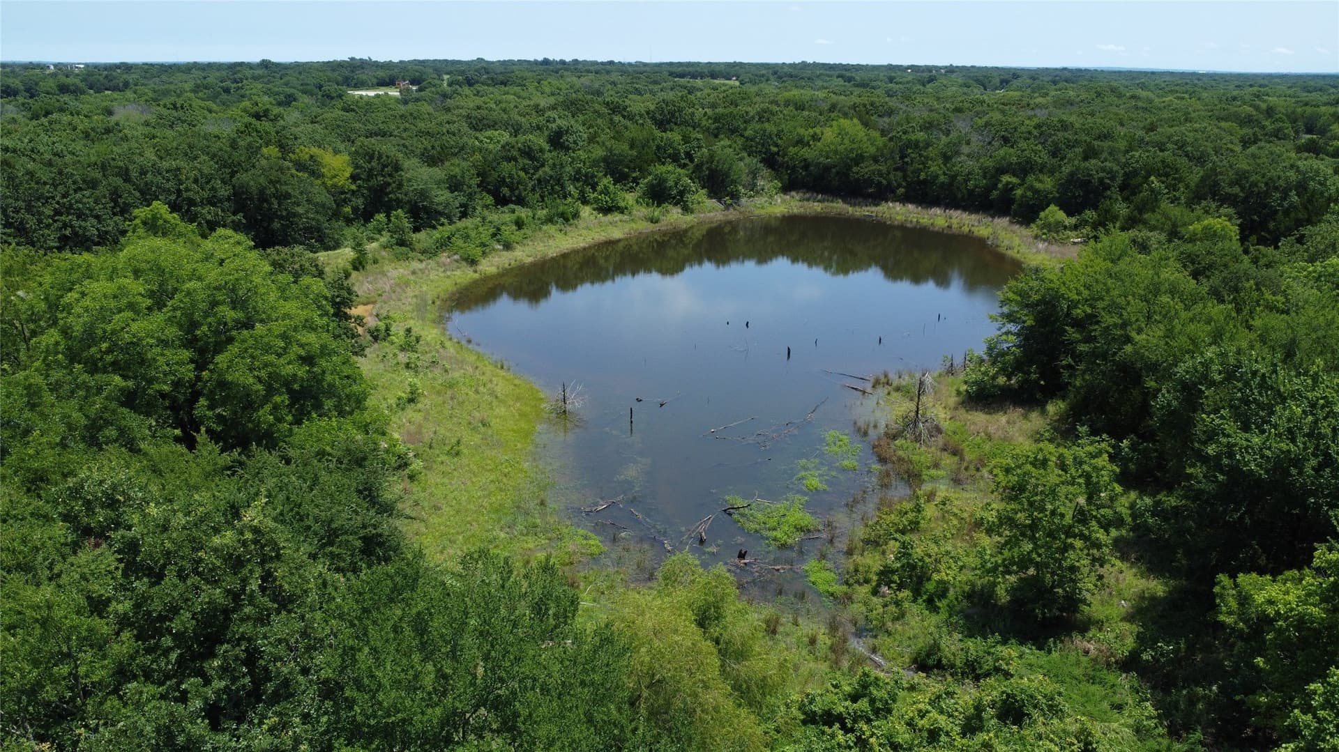 39.23 acres in Grayson County - photo 7