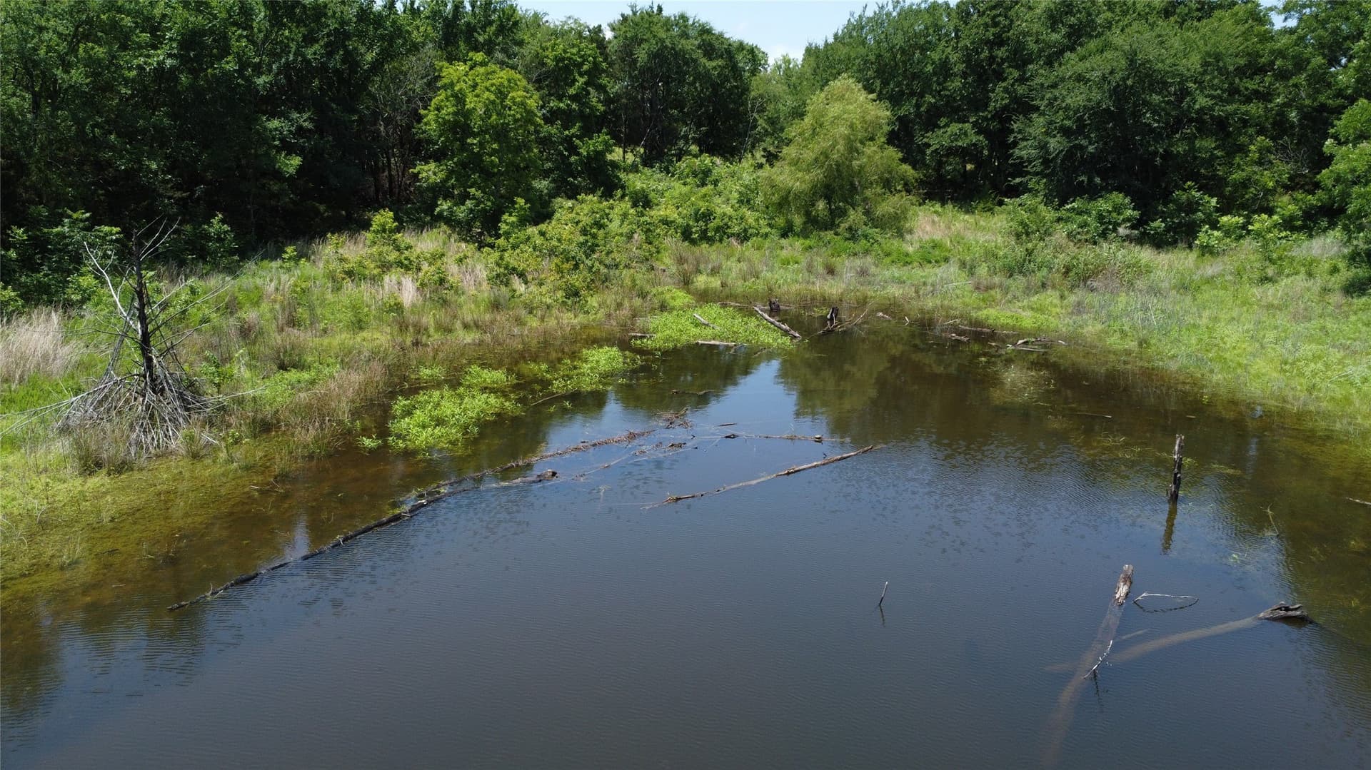 39.23 acres in Grayson County - photo 27