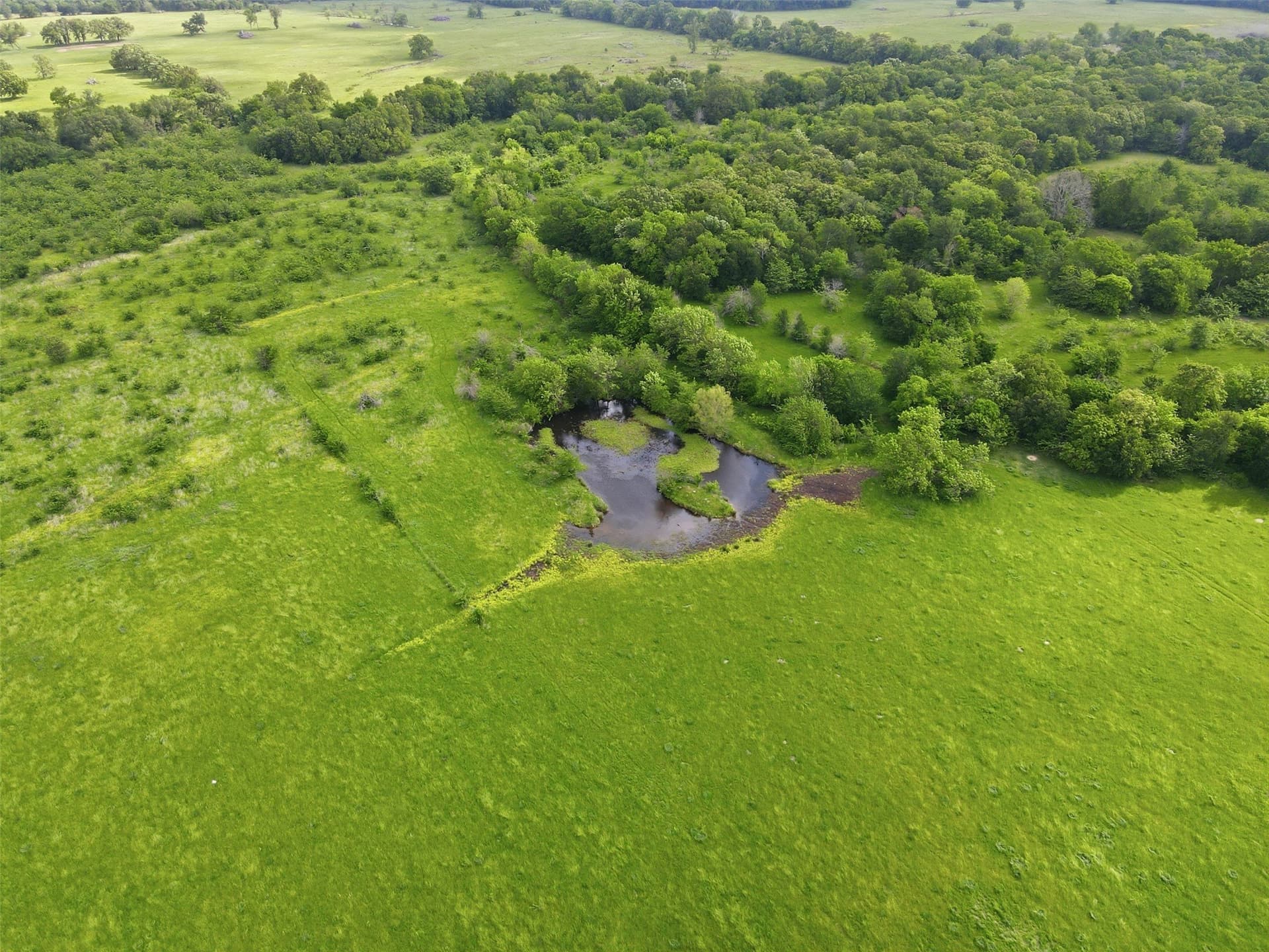 228.84 acres in Hopkins County gallery image 3
