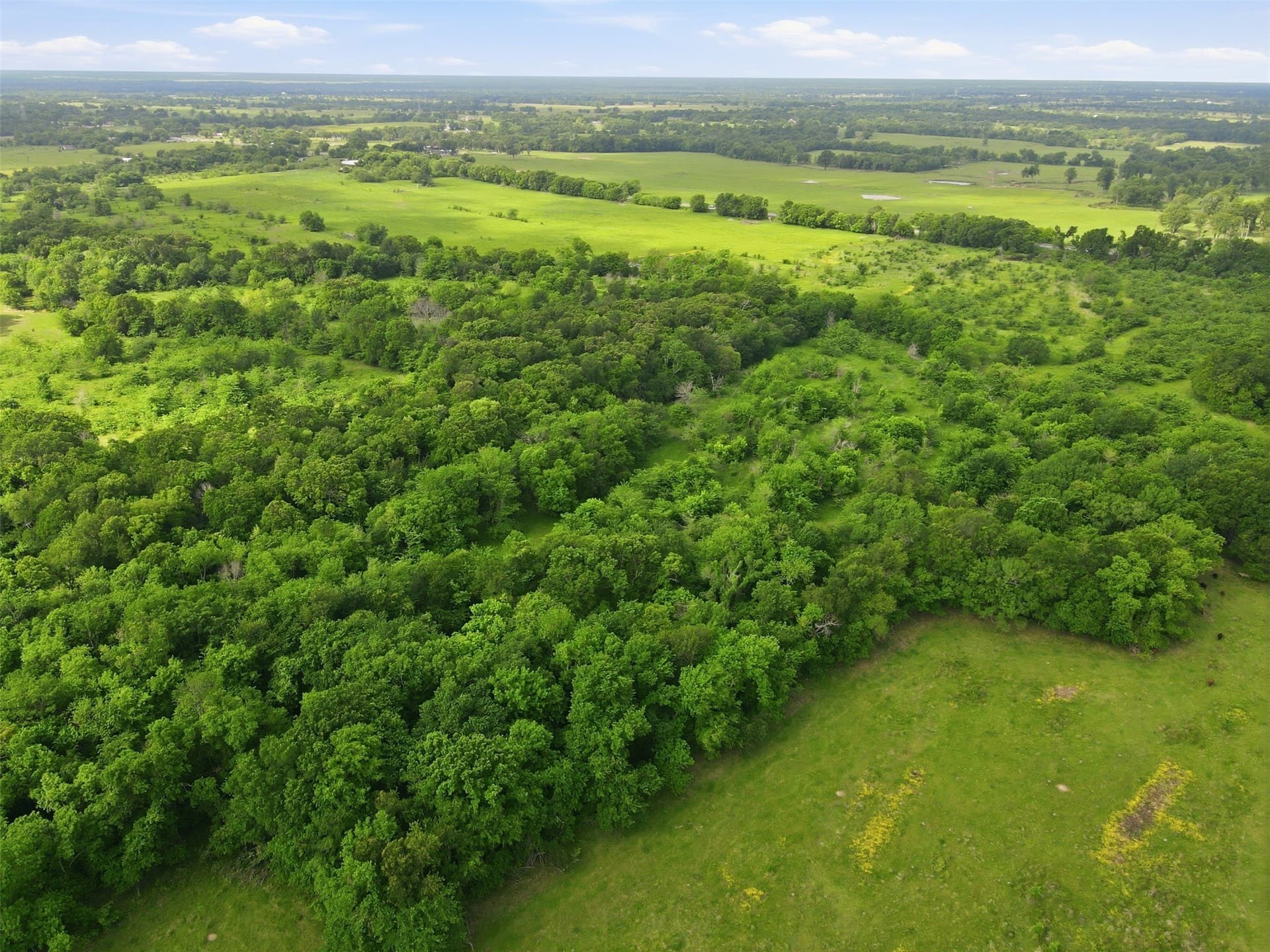 228.84 acres in Hopkins County - photo 8