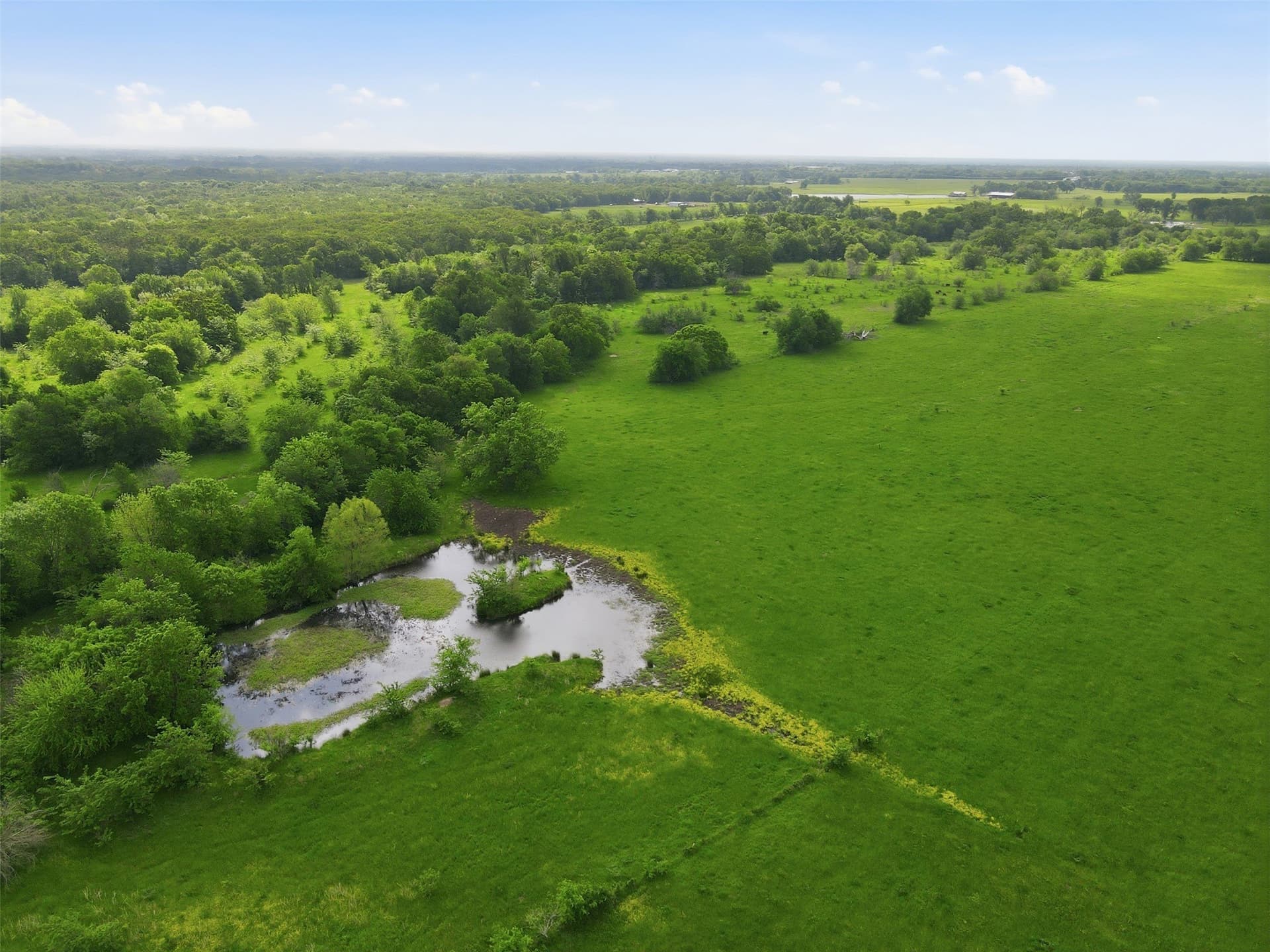 228.84 acres in Hopkins County - photo 21