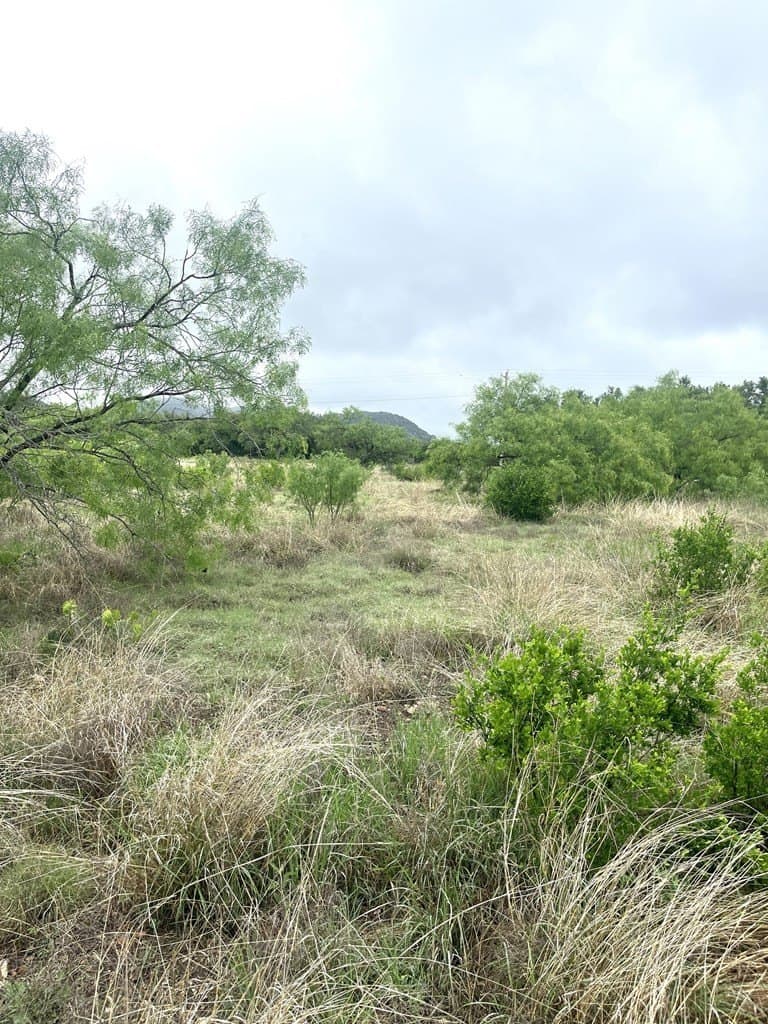 2.59 acres in Real County - photo 14