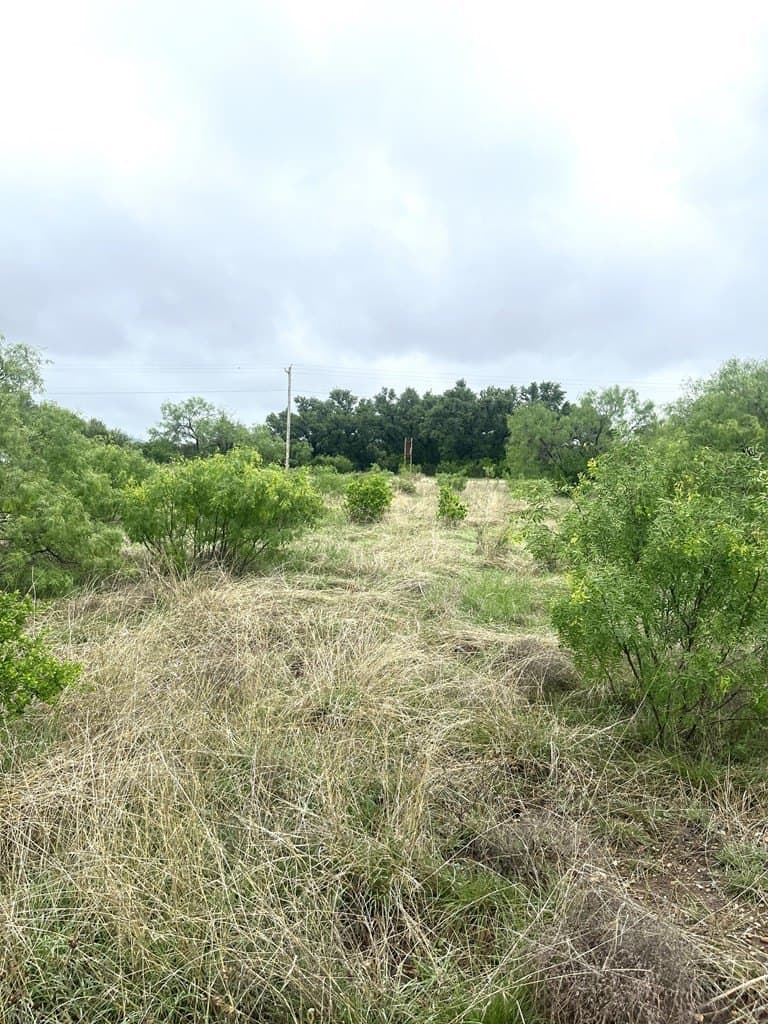 2.59 acres in Real County - photo 12