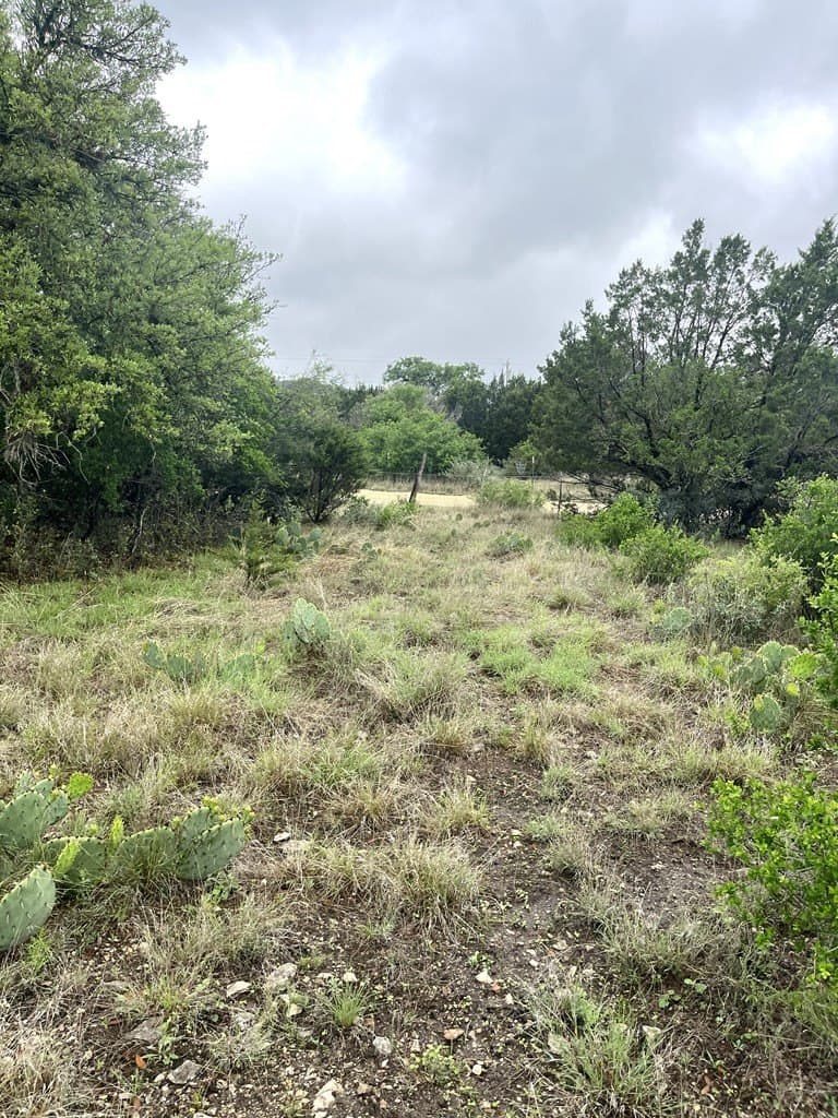 2.59 acres in Real County - photo 19