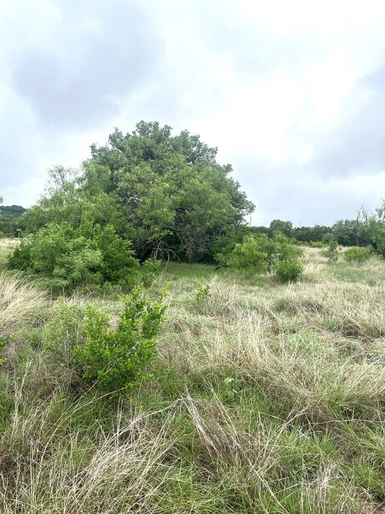 2.59 acres in Real County - photo 13