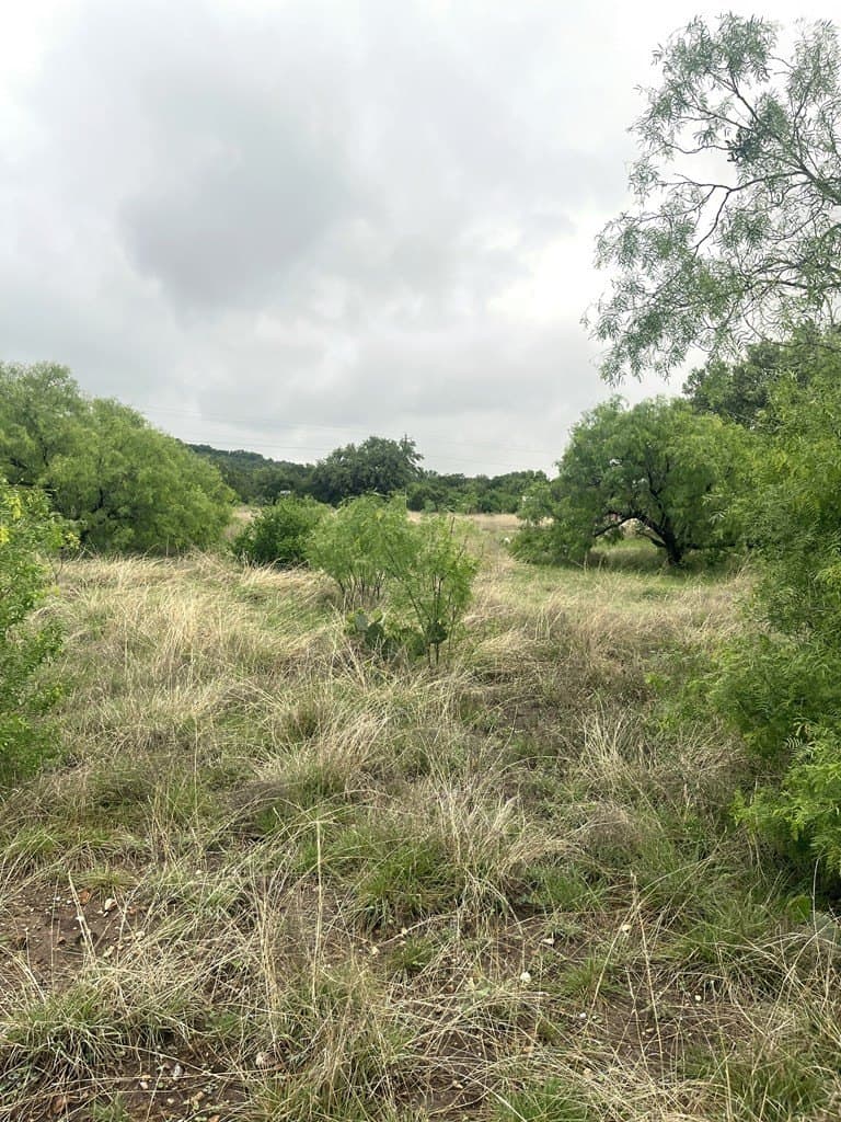 2.59 acres in Real County - photo 11