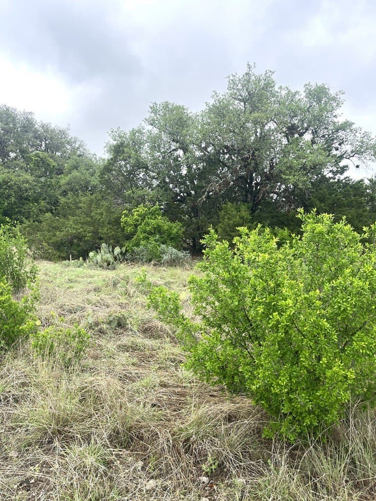 2.59 acres in Real County - photo 18