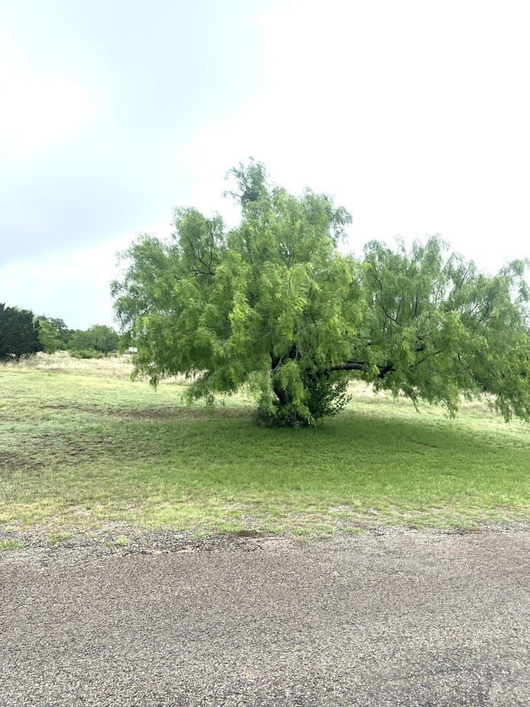 2.59 acres in Real County gallery image 3