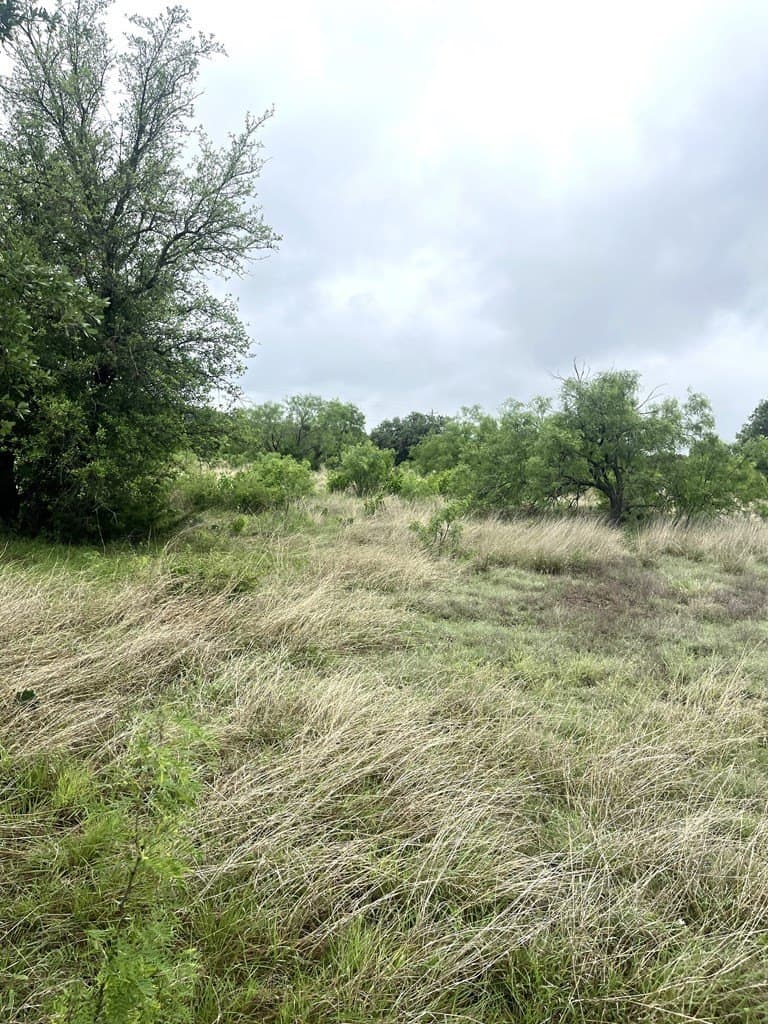 2.59 acres in Real County - photo 9