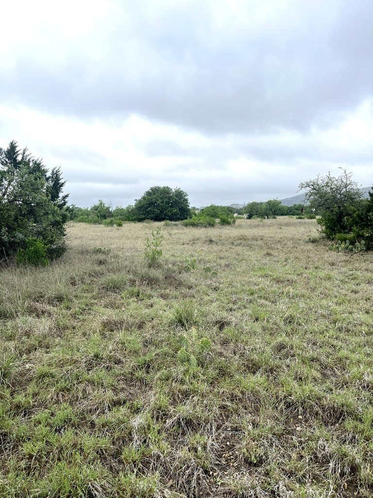 2.59 acres in Real County - photo 22