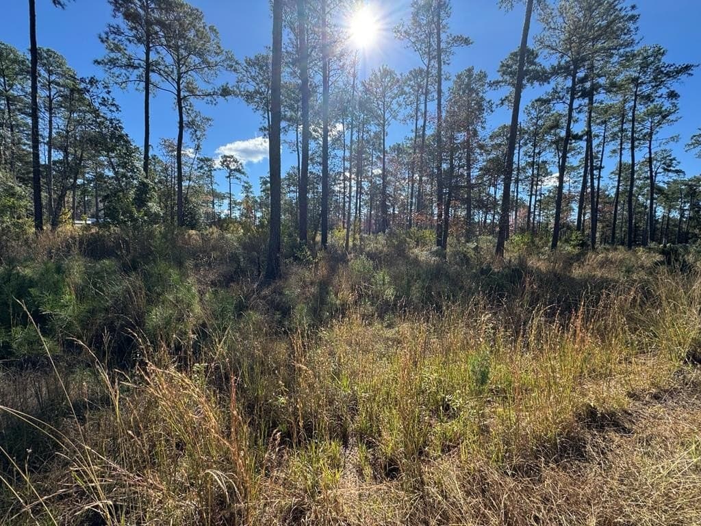1.14 acres in Texas County