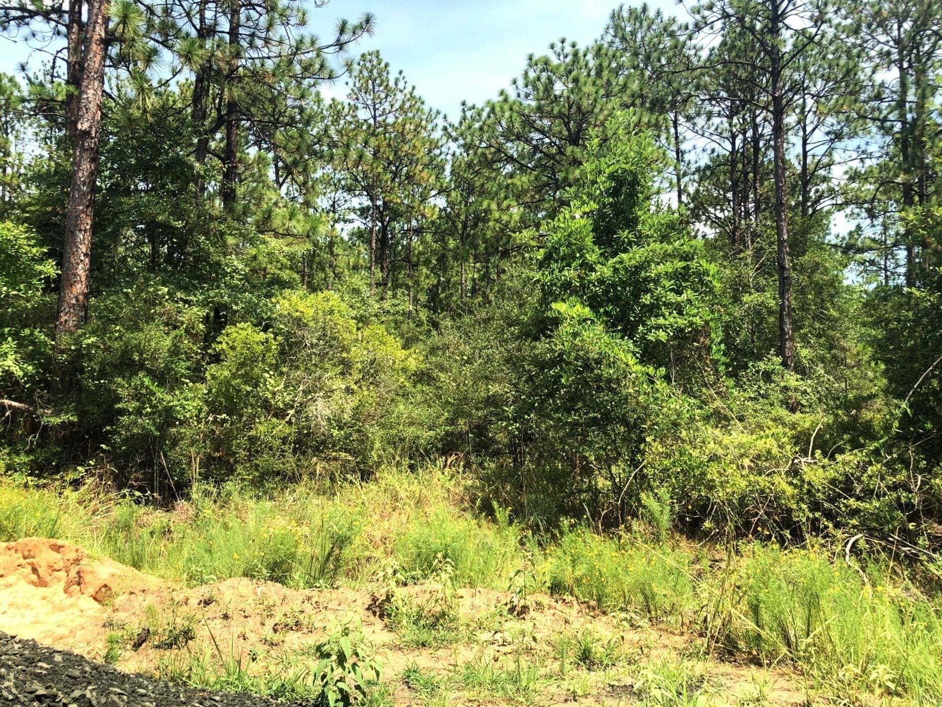 0.26 acres in Texas County gallery image 3