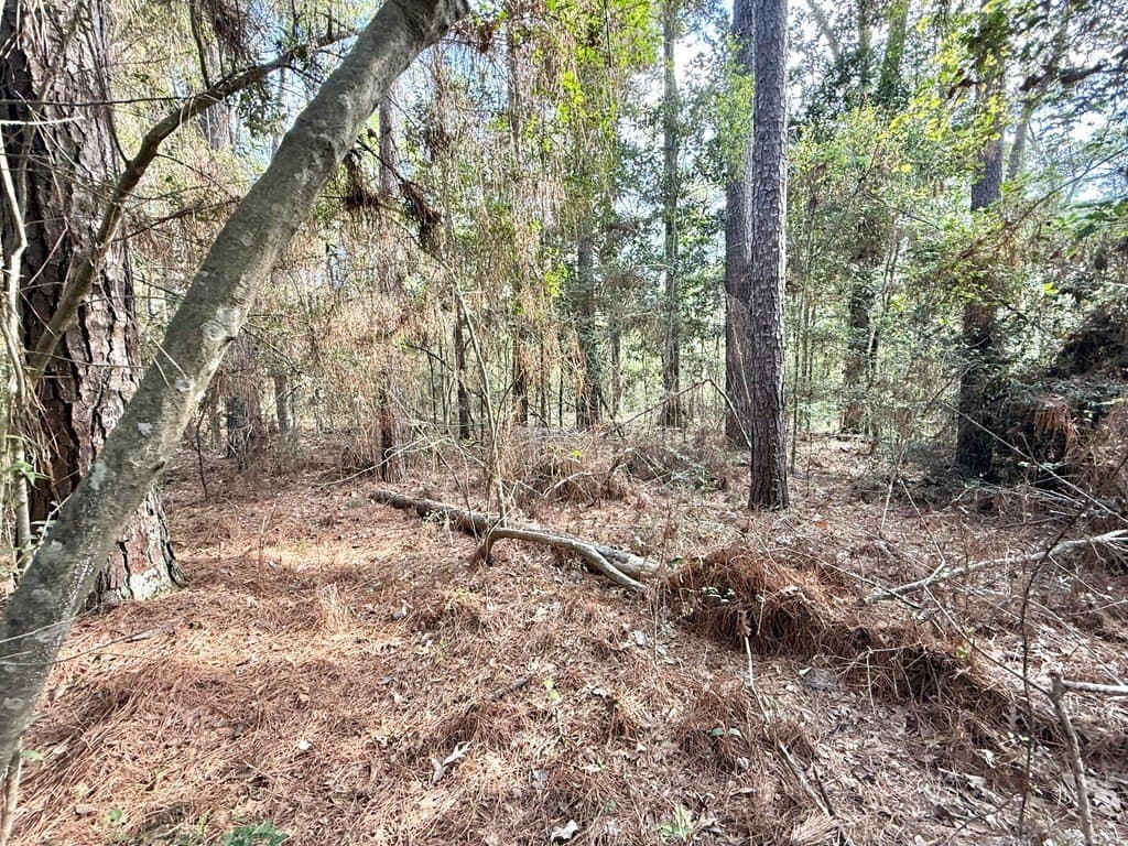 0.29 acres in Texas County - photo 8