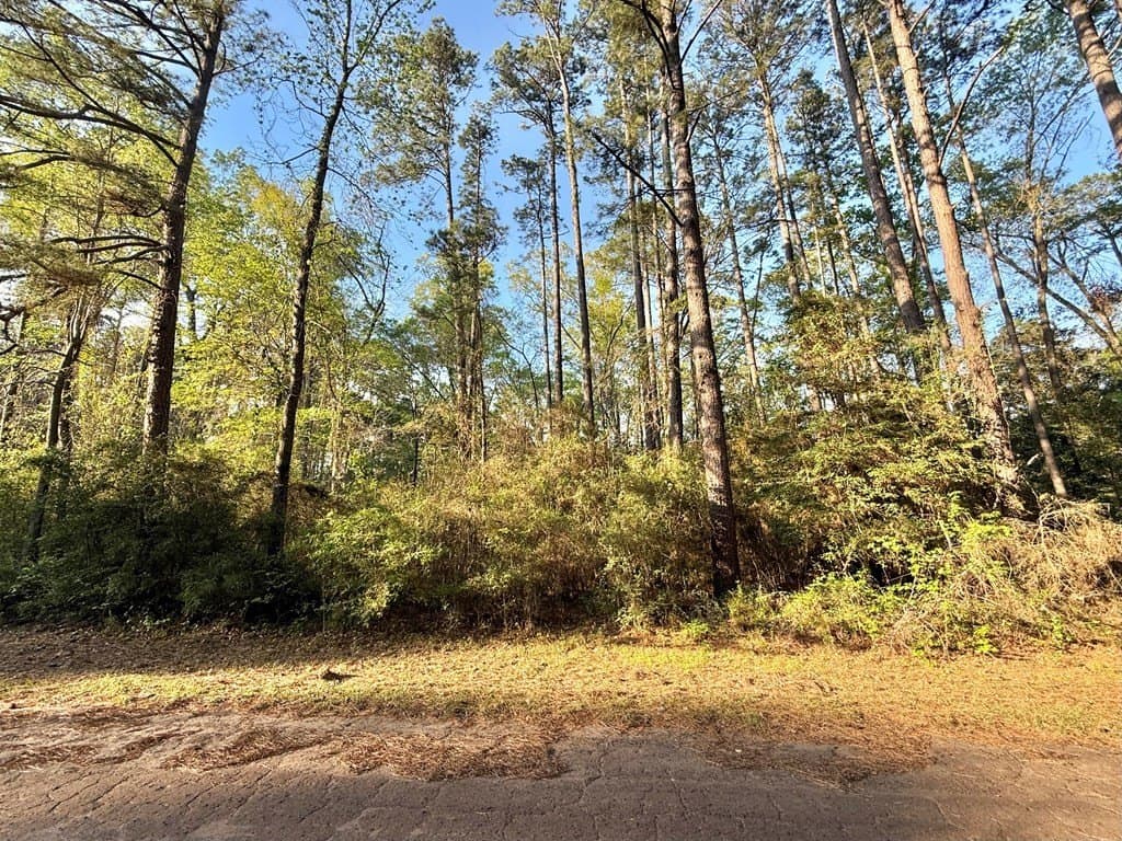 0.29 acres in Texas County - photo 10