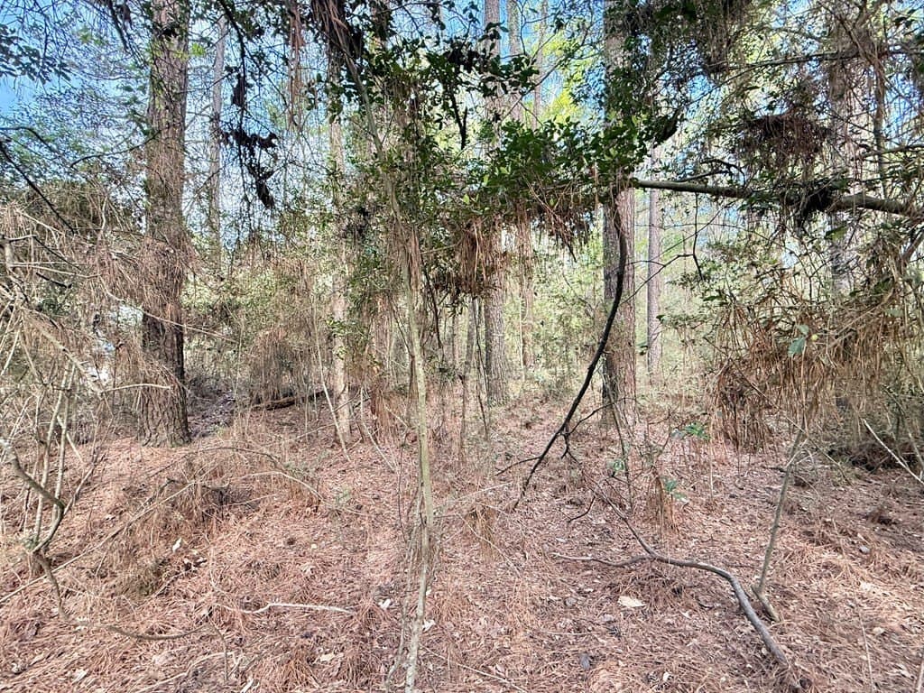 0.29 acres in Texas County gallery image 2