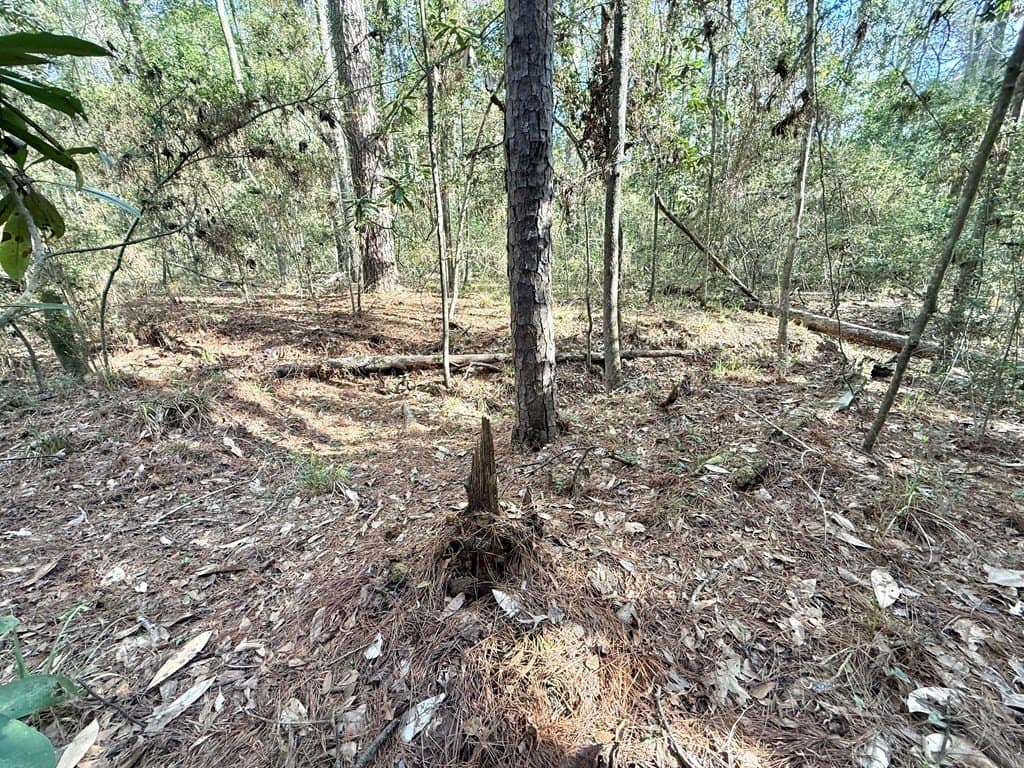0.29 acres in Texas County featured view