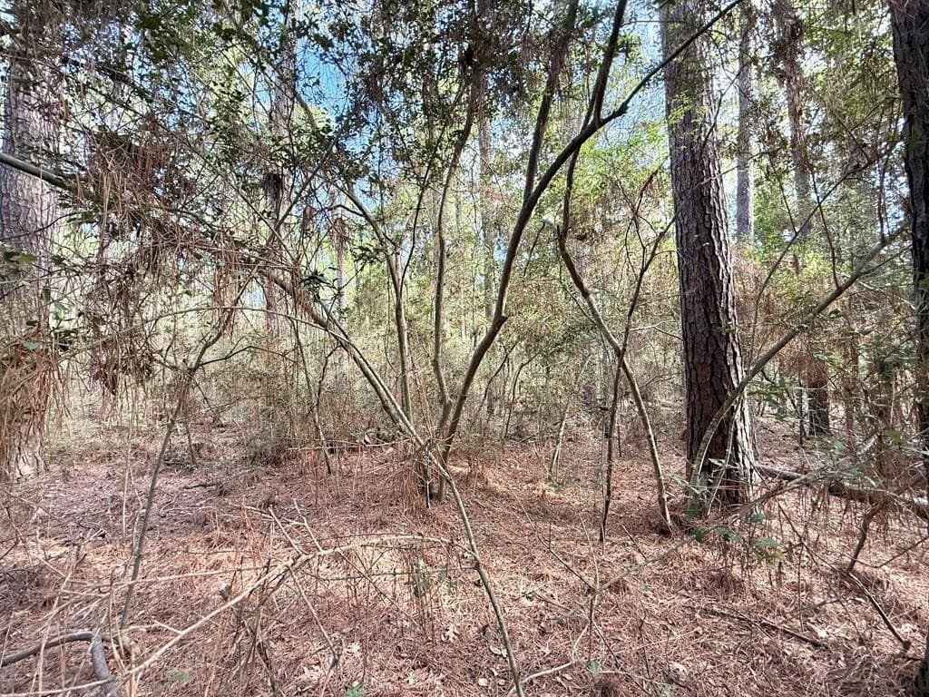 0.29 acres in Texas County - photo 9