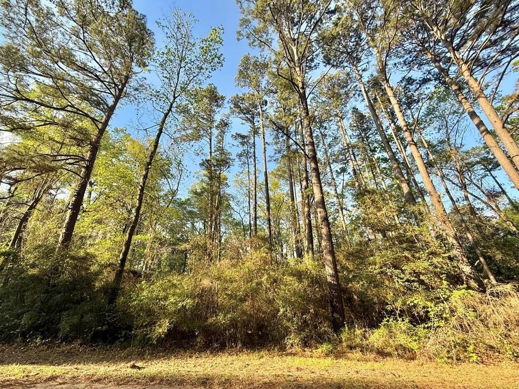 0.29 acres in Texas County