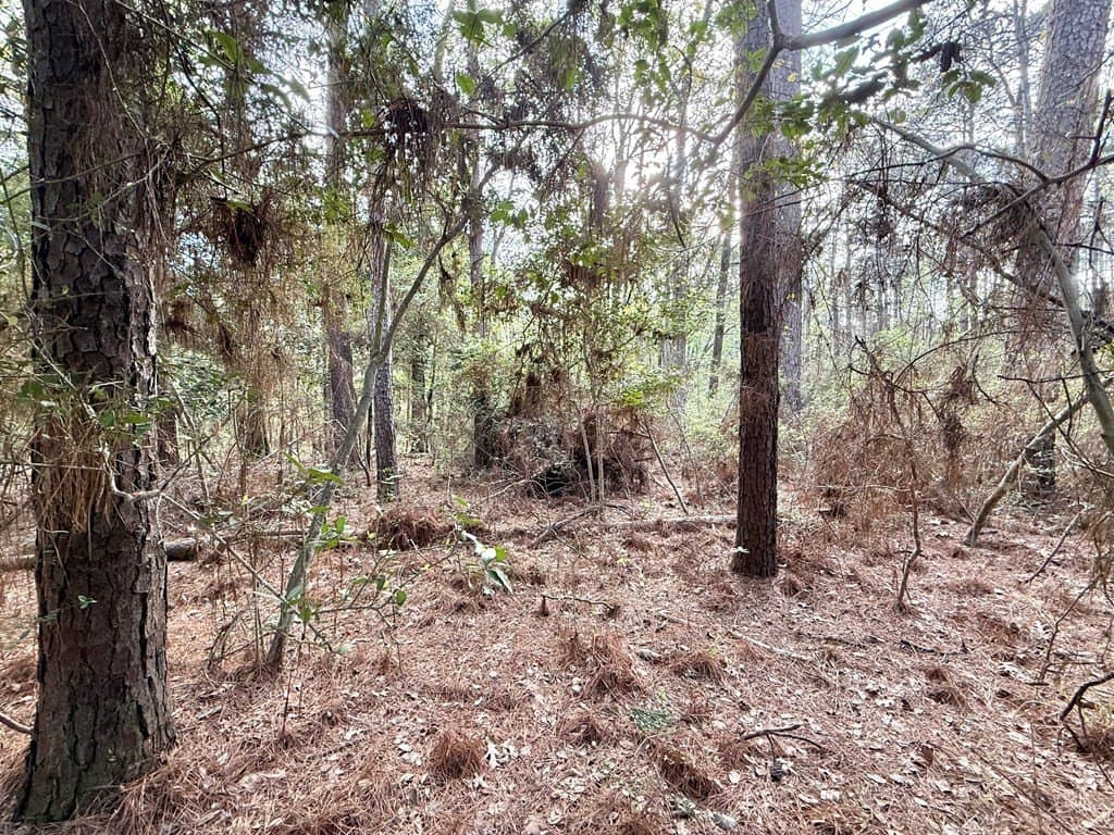 0.29 acres in Texas County gallery image 3