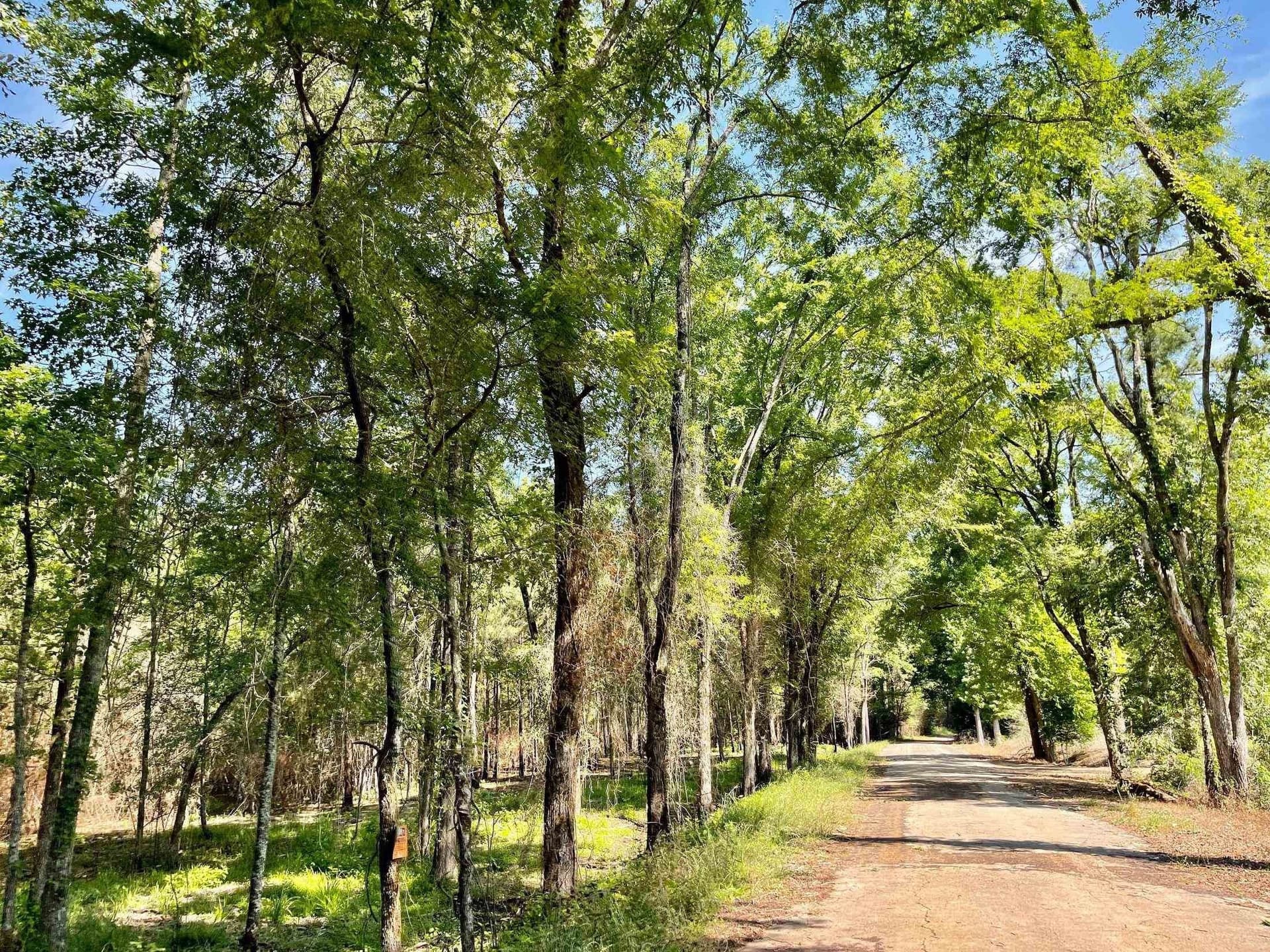 2.15 acres in Marion County featured view