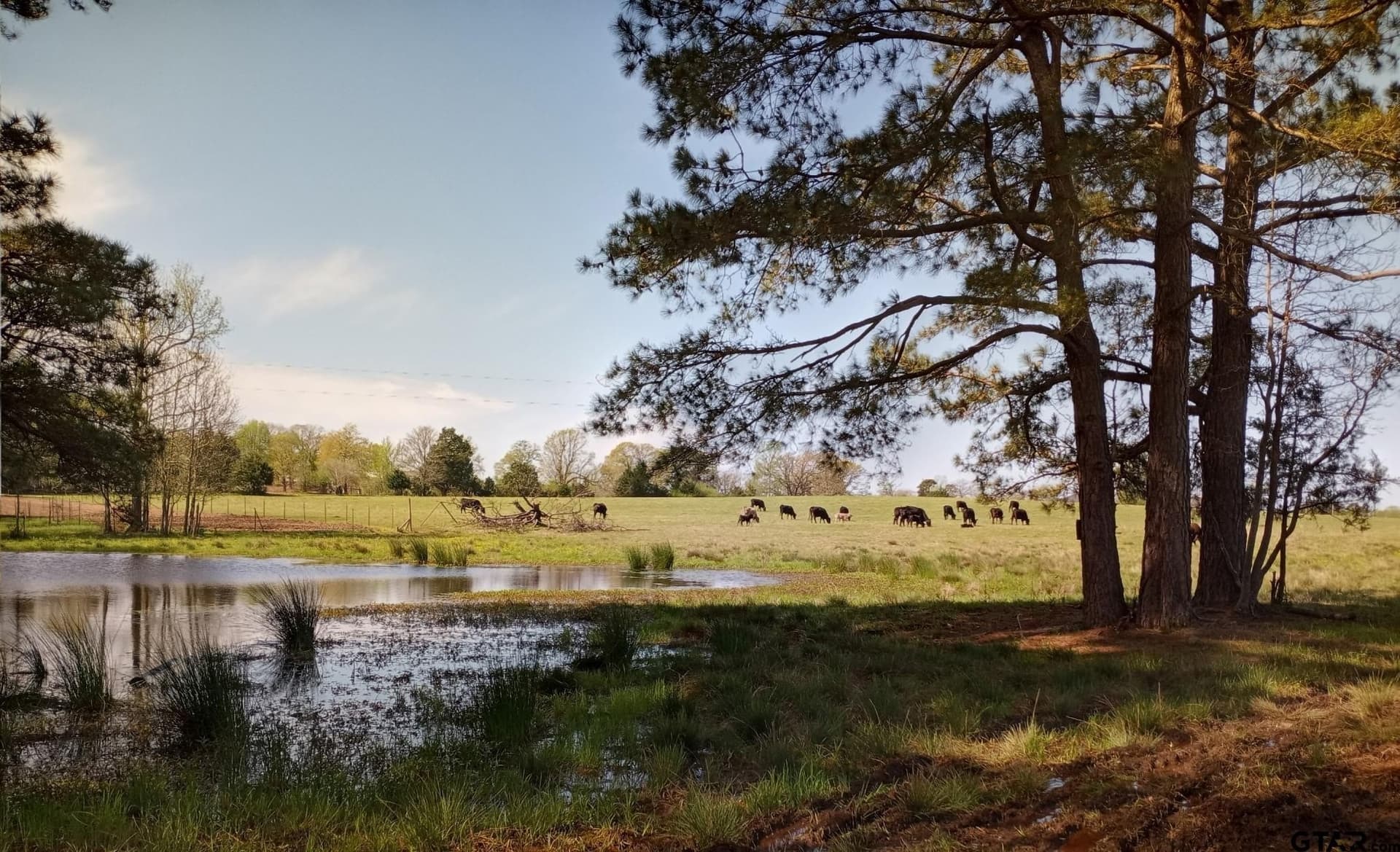 27.09 acres in Cass County - photo 22