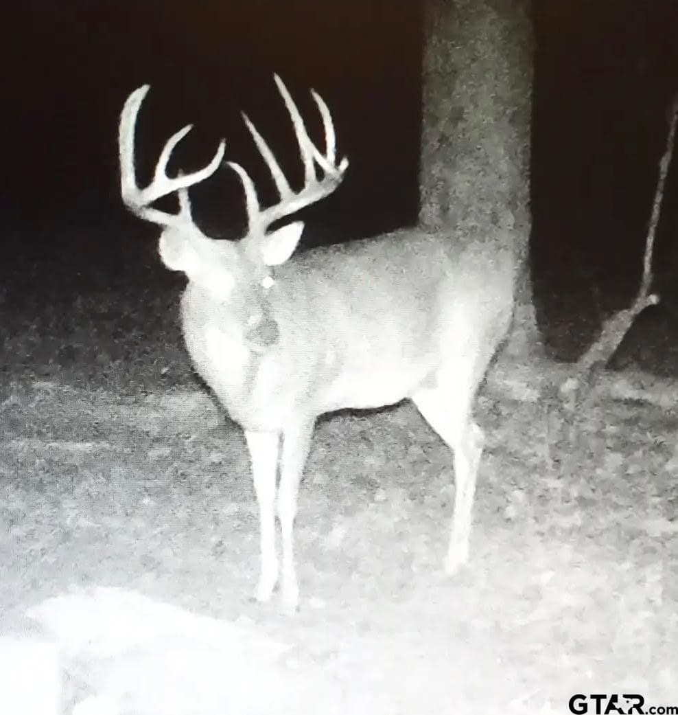 27.09 acres in Cass County - photo 46