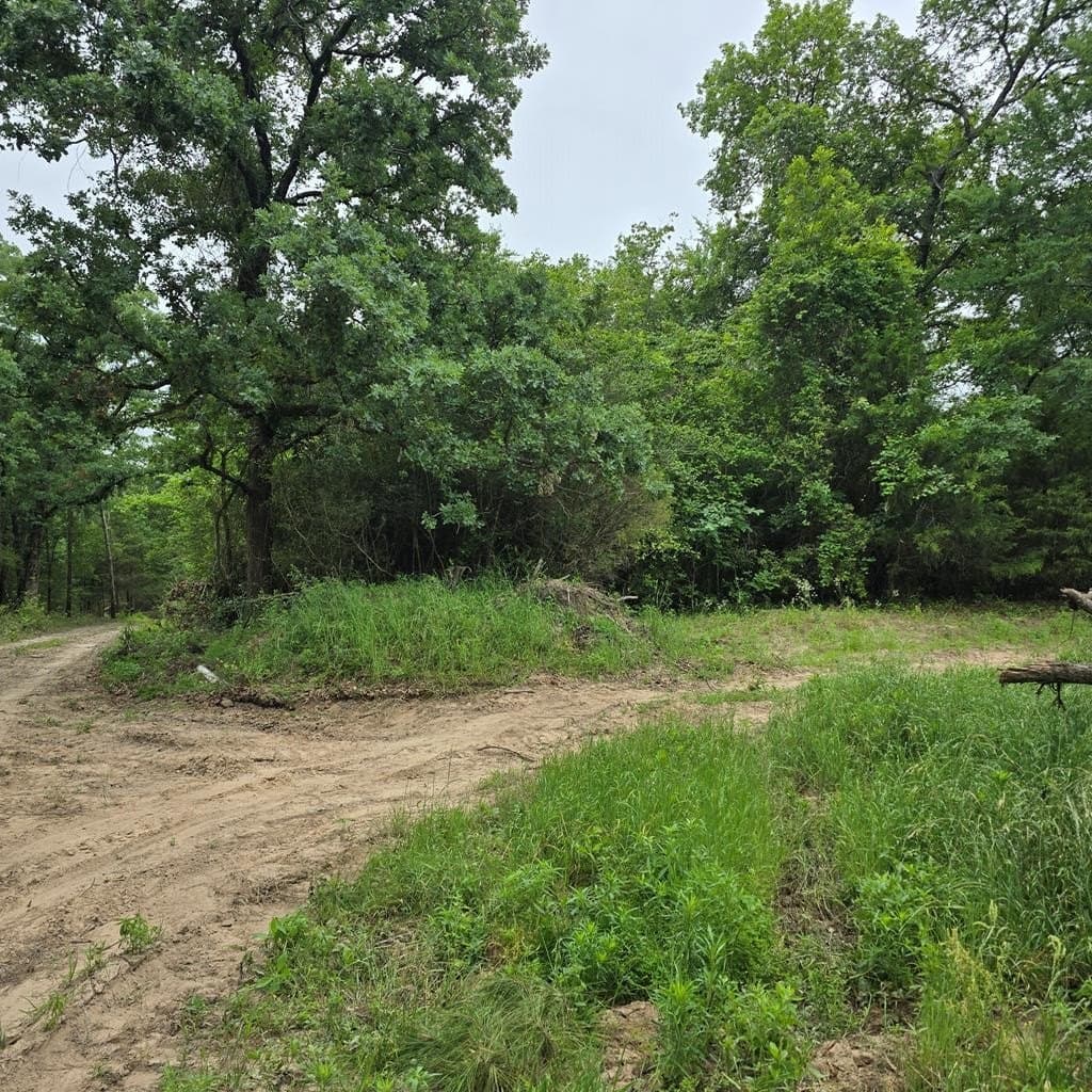 19.92 acres in Henderson County
