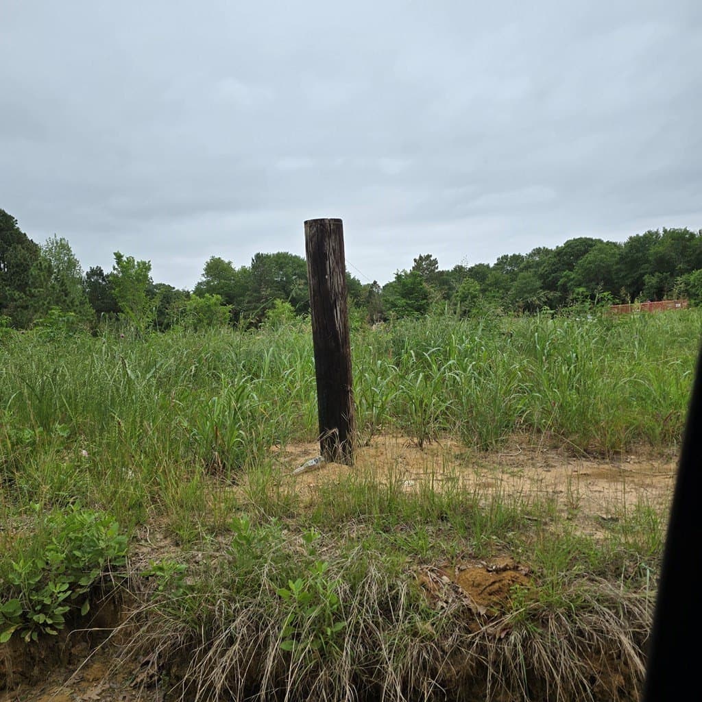 19.92 acres in Henderson County gallery image 2