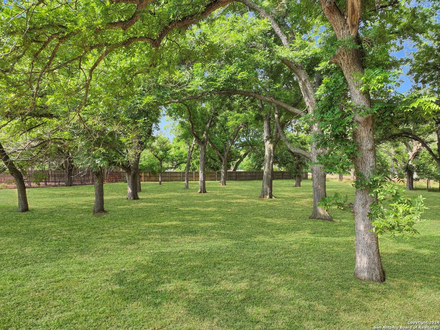 0.61 acres in Guadalupe County - photo 7