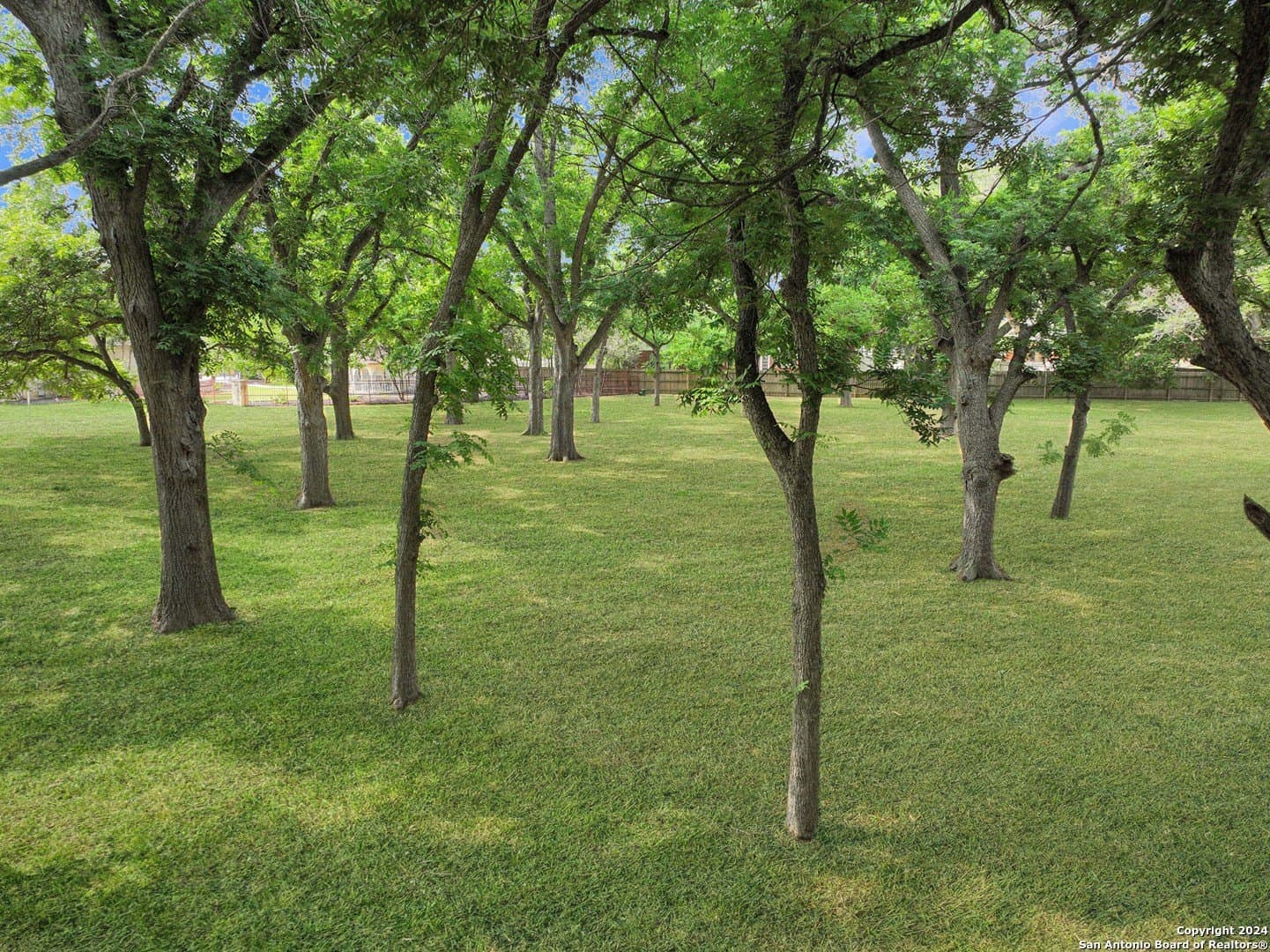 0.61 acres in Guadalupe County - photo 6