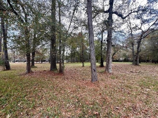 1 acres in Texas County gallery image 2