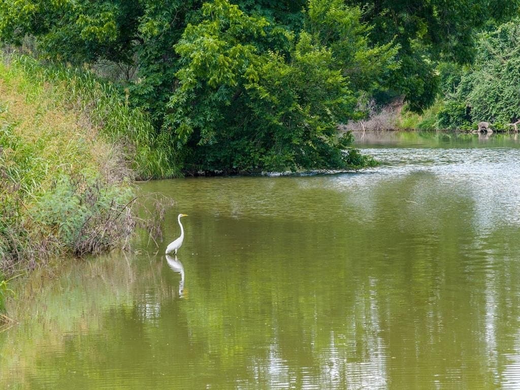 39.82 acres in Gillespie County - photo 41