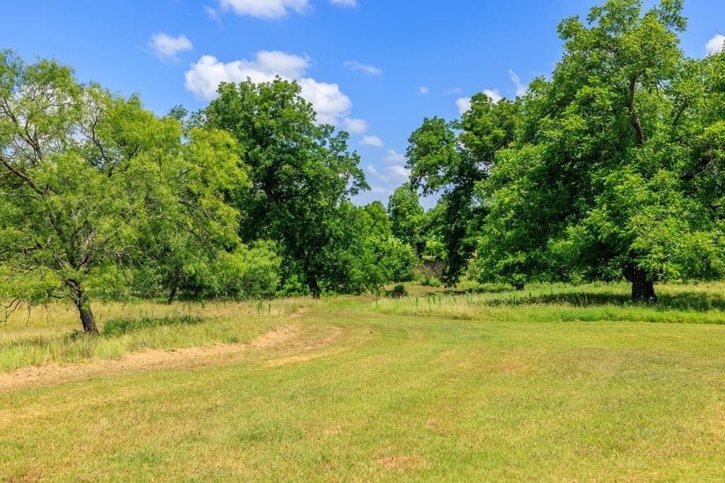 39.82 acres in Gillespie County - photo 8