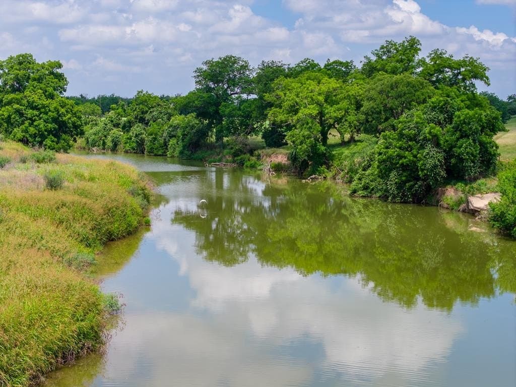 39.82 acres in Gillespie County - photo 40