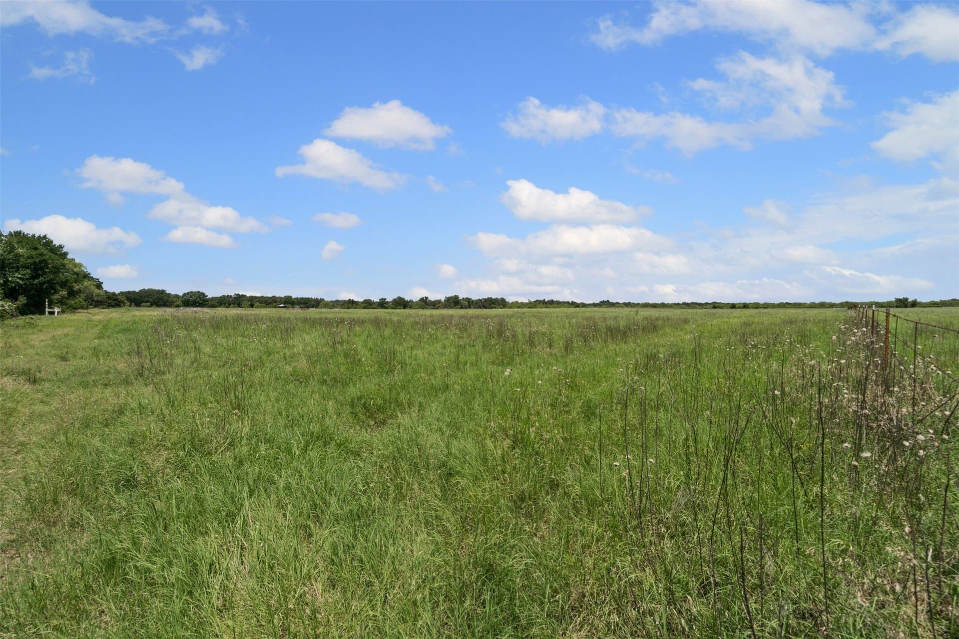 78.92 acres in Palo Pinto County - photo 9
