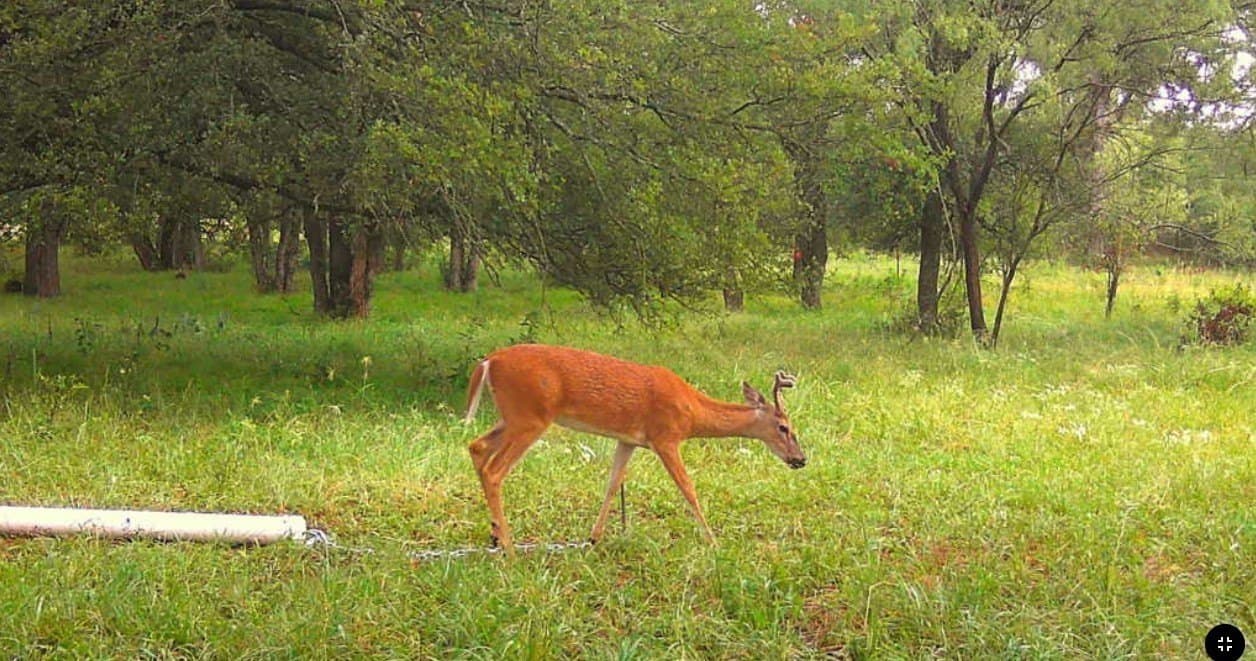 78.92 acres in Palo Pinto County - photo 27