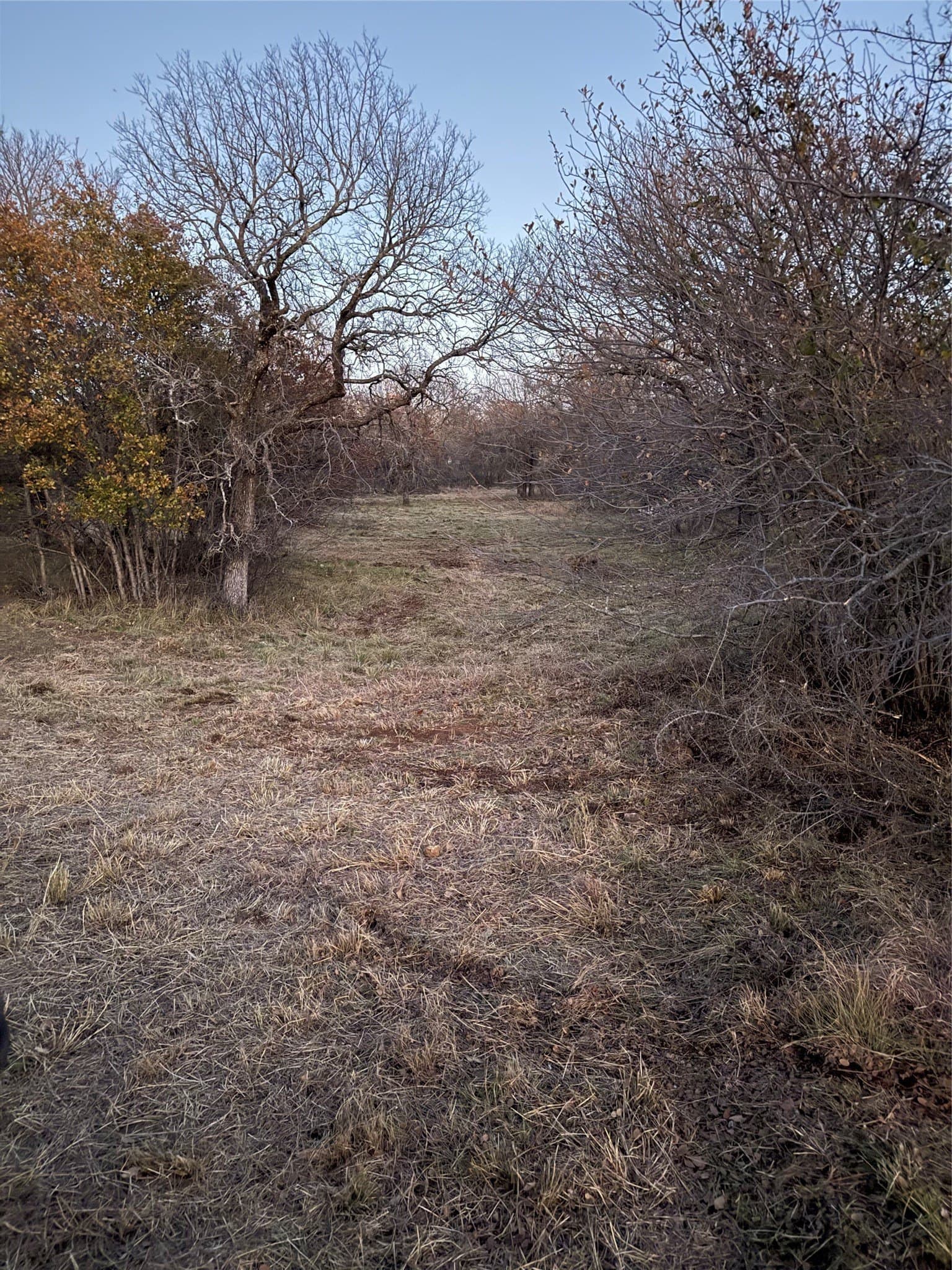 1.58 acres in Wise County - photo 13