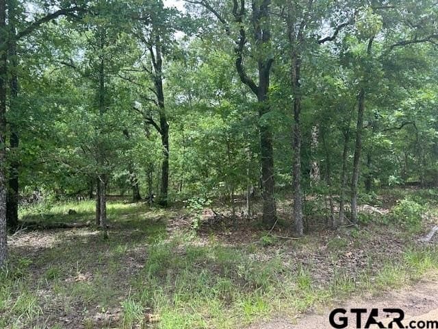 10 acres in Van Zandt County gallery image 4