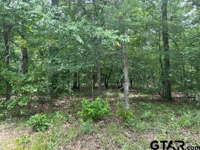 10 acres in Van Zandt County featured view