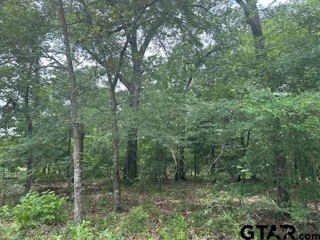 10 acres in Van Zandt County gallery image 2