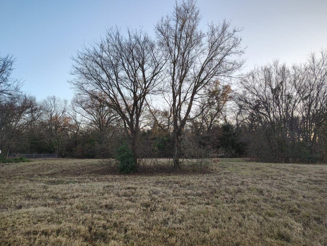 0.49 acres in Wood County - photo 7