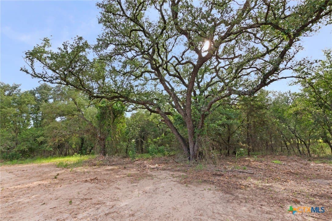 11.48 acres in Lampasas County - photo 8