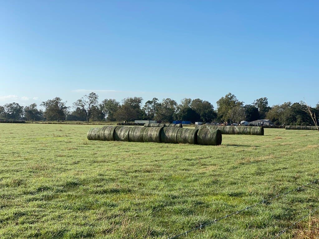 18 acres in Texas County gallery image 2