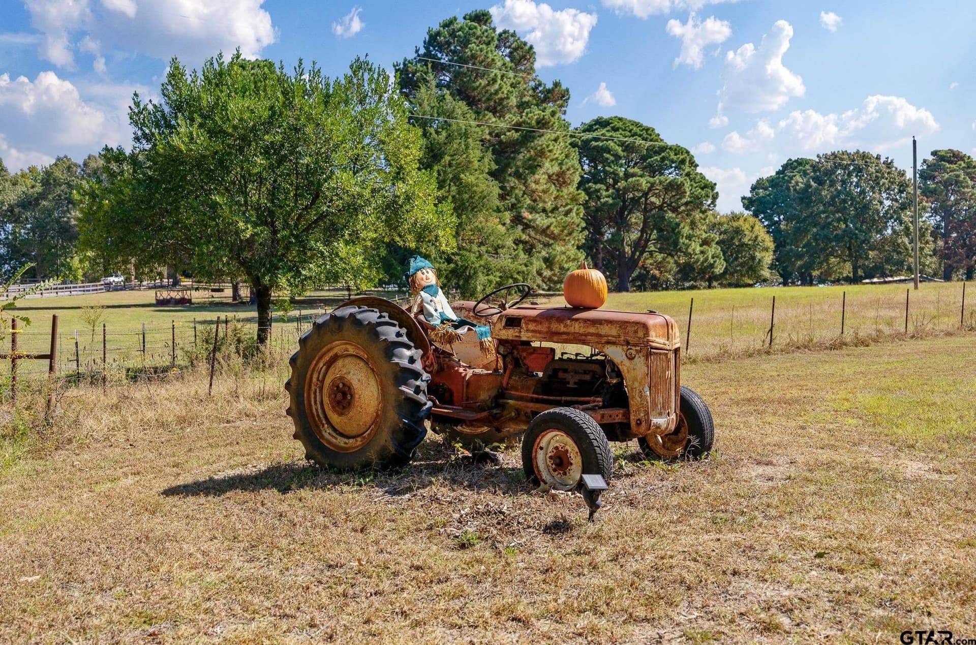 12.26 acres in Henderson County gallery image 3