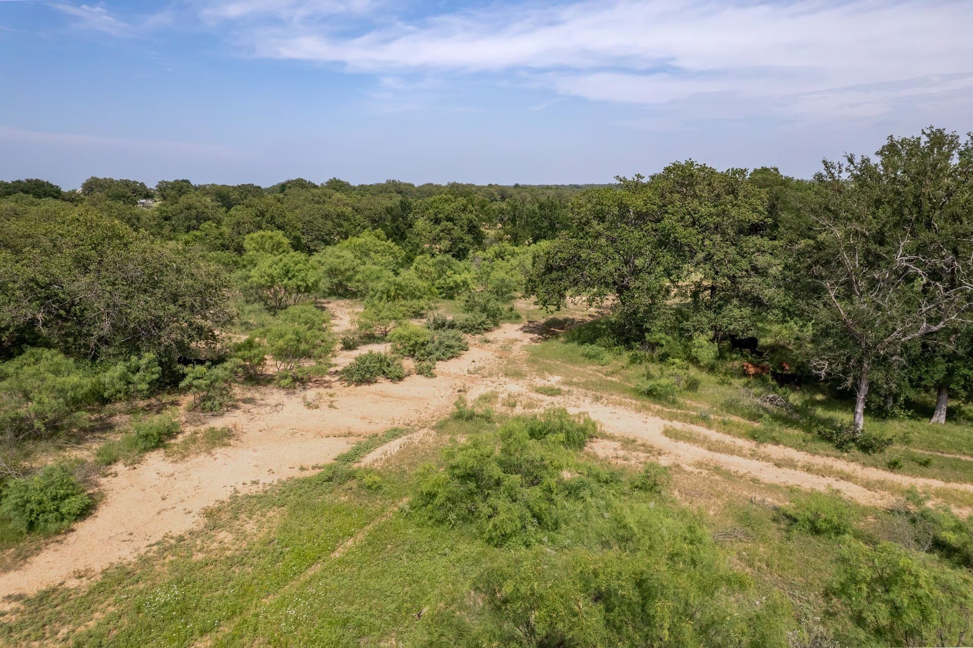 80 acres in Brown County - photo 9